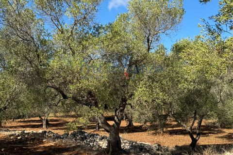 Helårsgrund i Carovigno, Brindisi, Carovigno - € 29.000 | Ref: 122781 - foto 8